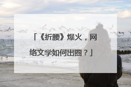 《折腰》爆火，网络文学如何出圈？