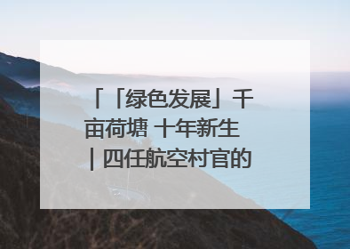 「绿色发展」千亩荷塘 十年新生｜四任航空村官的“生态接力”