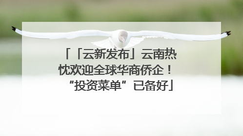 「云新发布」云南热忱欢迎全球华商侨企！“投资菜单”已备好