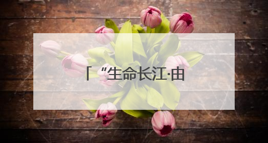“生命长江·由我守护” 峨眉山桂花桥镇小增加学生环保意识