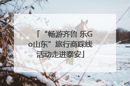 “畅游齐鲁 乐Go山东”旅行商踩线活动走进泰安