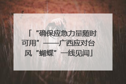 “确保应急力量随时可用”——广西应对台风“蝴蝶”一线见闻