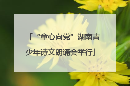 “童心向党”湖南青少年诗文朗诵会举行