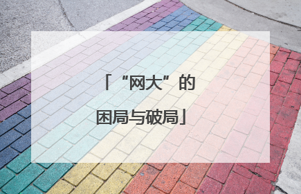 “网大”的困局与破局