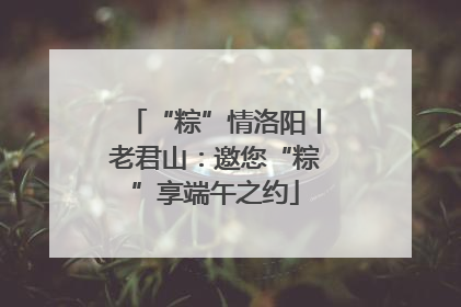 “粽”情洛阳丨老君山：邀您“粽”享端午之约