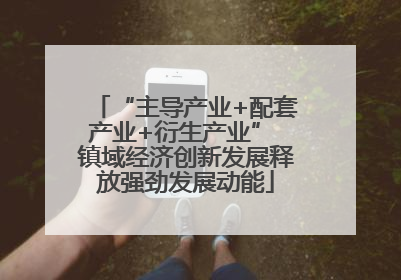“主导产业+配套产业+衍生产业” 镇域经济创新发展释放强劲发展动能