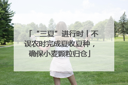 “三夏”进行时丨不误农时完成夏收夏种，确保小麦颗粒归仓