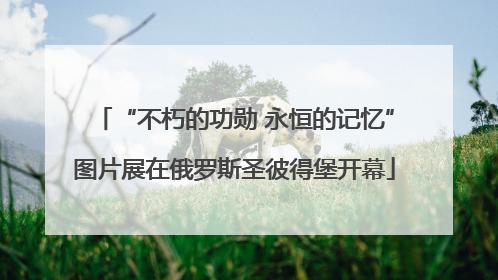 “不朽的功勋 永恒的记忆”图片展在俄罗斯圣彼得堡开幕