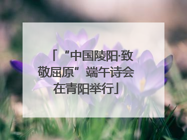 “中国陵阳·致敬屈原”端午诗会在青阳举行