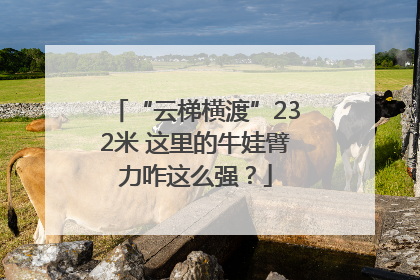 “云梯横渡”232米 这里的牛娃臂力咋这么强？