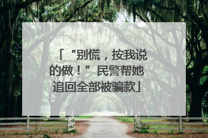 “别慌，按我说的做！”民警帮她追回全部被骗款