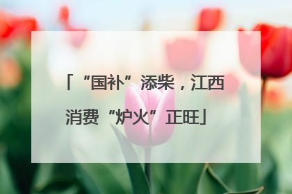 “国补”添柴，江西消费“炉火”正旺