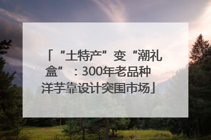 “土特产”变“潮礼盒”：300年老品种洋芋靠设计突围市场