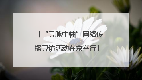 “寻脉中轴”网络传播寻访活动在京举行