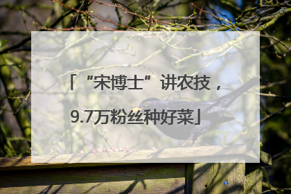 “宋博士”讲农技，9.7万粉丝种好菜