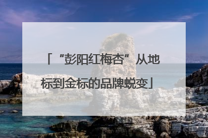 “彭阳红梅杏”从地标到金标的品牌蜕变