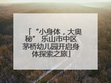 “小身体，大奥秘” 乐山市中区茅桥幼儿园开启身体探索之旅