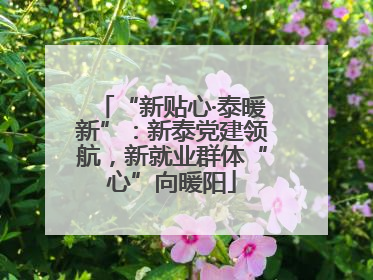 “新贴心·泰暖新”：新泰党建领航，新就业群体“心”向暖阳