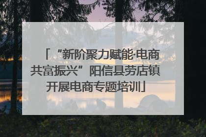 “新阶聚力赋能·电商共富振兴”阳信县劳店镇开展电商专题培训