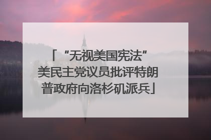 “无视美国宪法” 美民主党议员批评特朗普政府向洛杉矶派兵