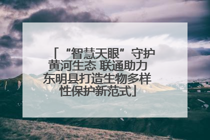 “智慧天眼”守护黄河生态 联通助力东明县打造生物多样性保护新范式