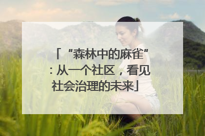 “森林中的麻雀”：从一个社区，看见社会治理的未来