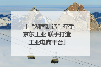 “湖南制造”牵手京东工业 联手打造工业电商平台