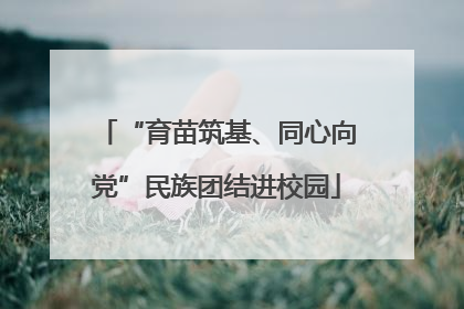 “育苗筑基、同心向党”民族团结进校园