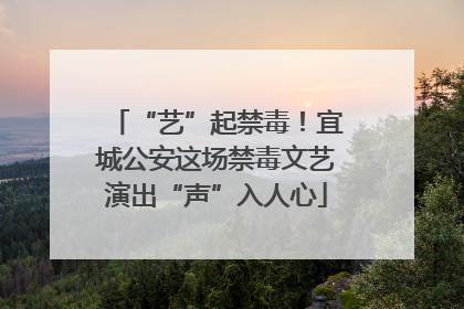 “艺”起禁毒！宜城公安这场禁毒文艺演出“声”入人心