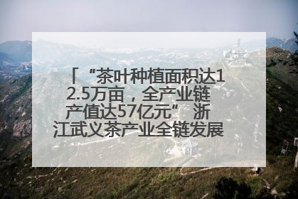 “茶叶种植面积达12.5万亩，全产业链产值达57亿元” 浙江武义茶产业全链发展“加速度”