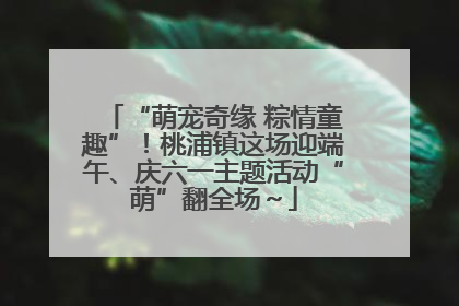 “萌宠奇缘 粽情童趣”！桃浦镇这场迎端午、庆六一主题活动“萌”翻全场～