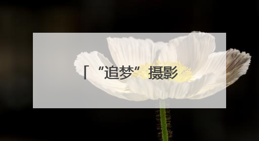 “追梦”摄影展：光影瞬间里的魅力闵行