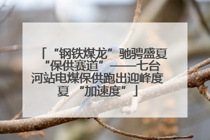 “钢铁煤龙”驰骋盛夏 “保供赛道”——七台河站电煤保供跑出迎峰度夏 “加速度”