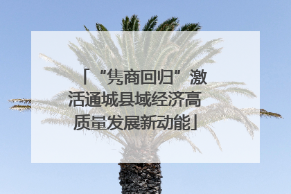 “隽商回归”激活通城县域经济高质量发展新动能