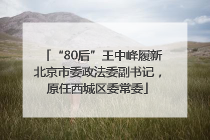 “80后”王中峰履新北京市委政法委副书记，原任西城区委常委