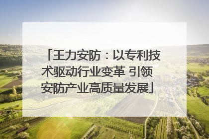 王力安防：以专利技术驱动行业变革 引领安防产业高质量发展