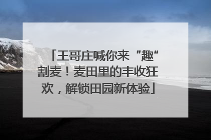 王哥庄喊你来“趣”割麦！麦田里的丰收狂欢，解锁田园新体验