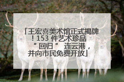 王宏喜美术馆正式揭牌！153 件艺术珍品 “ 回归 ” 连云港，并向市民免费开放