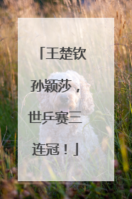 王楚钦孙颖莎，世乒赛三连冠！