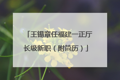 王锡章任福建一正厅长级新职（附简历）