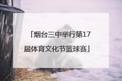 烟台三中举行第17届体育文化节篮球赛