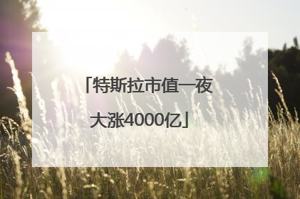 特斯拉市值一夜大涨4000亿