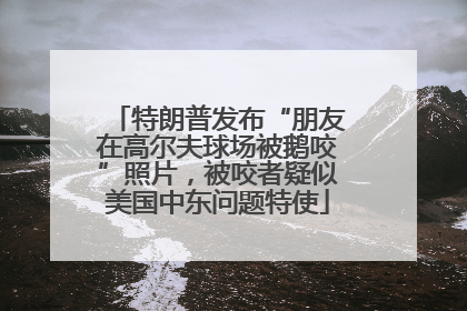 特朗普发布“朋友在高尔夫球场被鹅咬”照片，被咬者疑似美国中东问题特使
