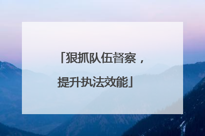 狠抓队伍督察，提升执法效能