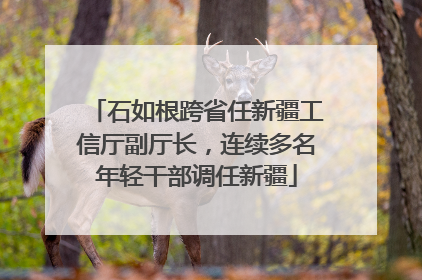 石如根跨省任新疆工信厅副厅长，连续多名年轻干部调任新疆