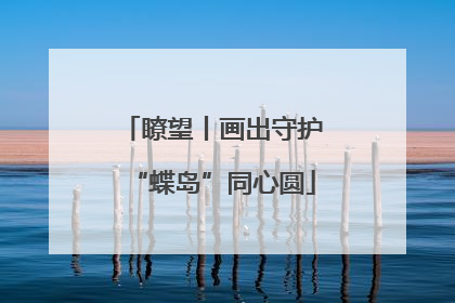 瞭望丨画出守护“蝶岛”同心圆