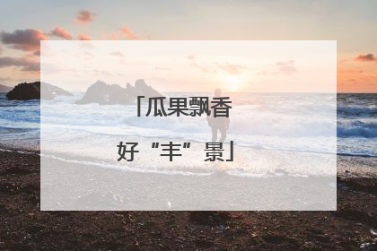 瓜果飘香 好“丰”景