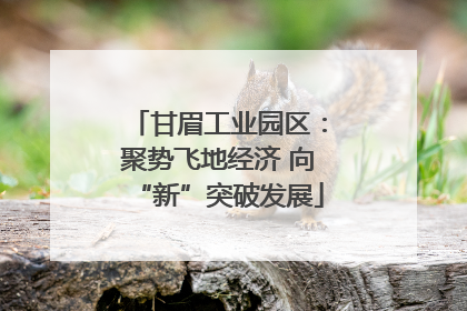 甘眉工业园区：聚势飞地经济 向“新”突破发展