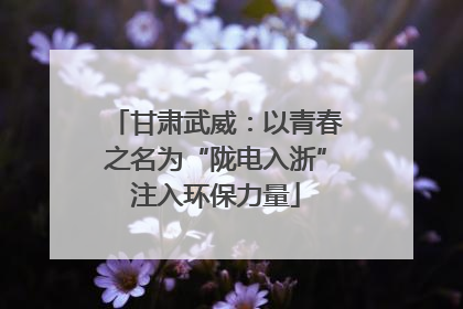 甘肃武威：以青春之名为“陇电入浙”注入环保力量