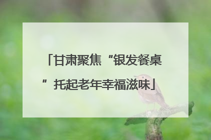 甘肃聚焦“银发餐桌”托起老年幸福滋味
